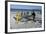 Trek Net Fishing-Peter Chadwick-Framed Premium Photographic Print