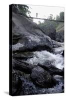 Trek Path to Kunthipuzha, Silent Valley National Park, Palakkad District, Kerala, India, Asia-Balan Madhavan-Stretched Canvas