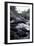 Trek Path to Kunthipuzha, Silent Valley National Park, Palakkad District, Kerala, India, Asia-Balan Madhavan-Framed Photographic Print