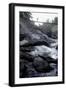 Trek Path to Kunthipuzha, Silent Valley National Park, Palakkad District, Kerala, India, Asia-Balan Madhavan-Framed Photographic Print