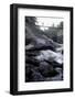 Trek Path to Kunthipuzha, Silent Valley National Park, Palakkad District, Kerala, India, Asia-Balan Madhavan-Framed Photographic Print