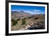 Trek Up to Mount Fitzroy from El Chalten-Michael Runkel-Framed Photographic Print