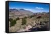 Trek Up to Mount Fitzroy from El Chalten-Michael Runkel-Framed Stretched Canvas