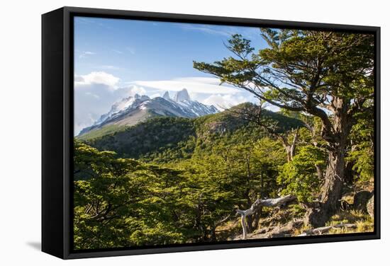 Trek Up to Mount Fitzroy from the UNESCO World Heritage Sight El Chalten, Argentina, South America-Michael Runkel-Framed Stretched Canvas