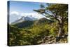 Trek Up to Mount Fitzroy from the UNESCO World Heritage Sight El Chalten, Argentina, South America-Michael Runkel-Stretched Canvas