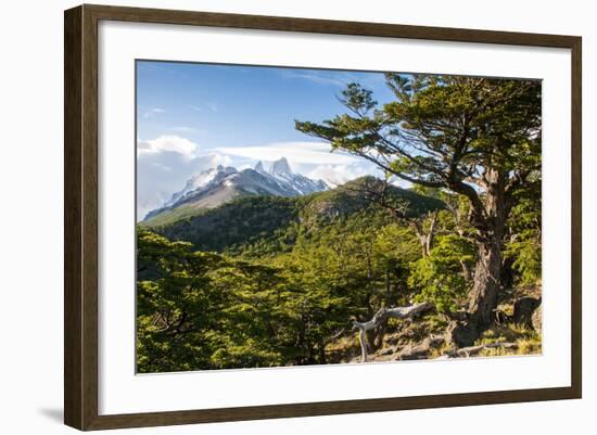 Trek Up to Mount Fitzroy from the UNESCO World Heritage Sight El Chalten, Argentina, South America-Michael Runkel-Framed Photographic Print