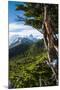 Trek Up to Mount Fitzroy from the UNESCO World Heritage Site El Chalten, Argentina, South America-Michael Runkel-Mounted Photographic Print