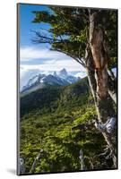 Trek Up to Mount Fitzroy from the UNESCO World Heritage Site El Chalten, Argentina, South America-Michael Runkel-Mounted Photographic Print