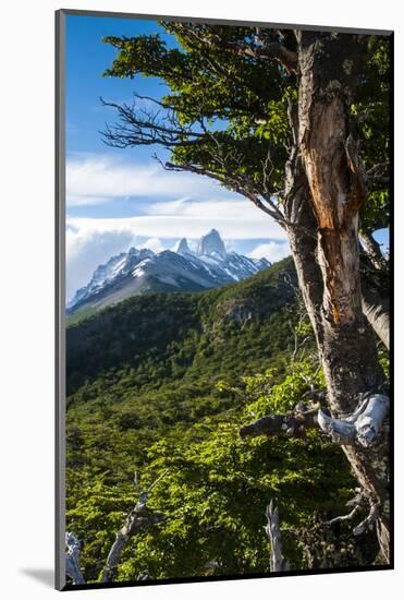 Trek Up to Mount Fitzroy from the UNESCO World Heritage Site El Chalten, Argentina, South America-Michael Runkel-Mounted Photographic Print