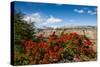 Trek Up to Mount Fitzroy from UNESCO World Heritage Site El Chalten, Argentina, South America-Michael Runkel-Stretched Canvas