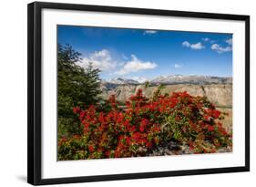 Trek Up to Mount Fitzroy from UNESCO World Heritage Site El Chalten, Argentina, South America-Michael Runkel-Framed Photographic Print