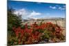 Trek Up to Mount Fitzroy from UNESCO World Heritage Site El Chalten, Argentina, South America-Michael Runkel-Mounted Photographic Print