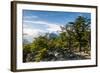 Trek Up to Mount Fitzroy from UNESCO World Heritage Site El Chalten, Argentina, South America-Michael Runkel-Framed Photographic Print