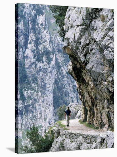 Trekker Walks the Trail Through the Cares Gorge, One of the Most Popular Walks in Spain-John Warburton-lee-Stretched Canvas