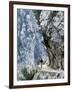 Trekker Walks the Trail Through the Cares Gorge, One of the Most Popular Walks in Spain-John Warburton-lee-Framed Premium Photographic Print