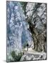 Trekker Walks the Trail Through the Cares Gorge, One of the Most Popular Walks in Spain-John Warburton-lee-Mounted Photographic Print