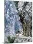 Trekker Walks the Trail Through the Cares Gorge, One of the Most Popular Walks in Spain-John Warburton-lee-Mounted Photographic Print