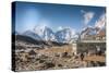 Trekkers and yaks in Lobuche on a trail to Mt. Everest.-Lee Klopfer-Stretched Canvas