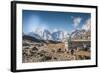 Trekkers and yaks in Lobuche on a trail to Mt. Everest.-Lee Klopfer-Framed Photographic Print