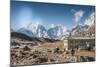 Trekkers and yaks in Lobuche on a trail to Mt. Everest.-Lee Klopfer-Mounted Photographic Print