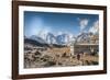 Trekkers and yaks in Lobuche on a trail to Mt. Everest.-Lee Klopfer-Framed Photographic Print