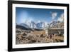 Trekkers and yaks in Lobuche on a trail to Mt. Everest.-Lee Klopfer-Framed Photographic Print