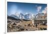 Trekkers and yaks in Lobuche on a trail to Mt. Everest.-Lee Klopfer-Framed Photographic Print