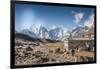 Trekkers and yaks in Lobuche on a trail to Mt. Everest.-Lee Klopfer-Framed Photographic Print