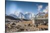 Trekkers and yaks in Lobuche on a trail to Mt. Everest.-Lee Klopfer-Stretched Canvas