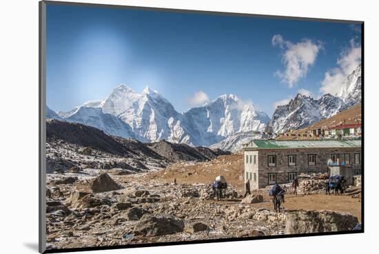 Trekkers and yaks in Lobuche on a trail to Mt. Everest.-Lee Klopfer-Mounted Photographic Print