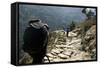 Trekkers on the Trail Towards Namche Bazaar, Khumbu, Nepal-David Noyes-Framed Stretched Canvas
