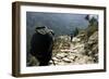 Trekkers on the Trail Towards Namche Bazaar, Khumbu, Nepal-David Noyes-Framed Photographic Print