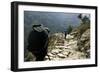 Trekkers on the Trail Towards Namche Bazaar, Khumbu, Nepal-David Noyes-Framed Photographic Print