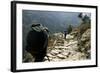 Trekkers on the Trail Towards Namche Bazaar, Khumbu, Nepal-David Noyes-Framed Photographic Print