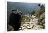 Trekkers on the Trail Towards Namche Bazaar, Khumbu, Nepal-David Noyes-Framed Photographic Print