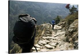 Trekkers on the Trail Towards Namche Bazaar, Khumbu, Nepal-David Noyes-Stretched Canvas