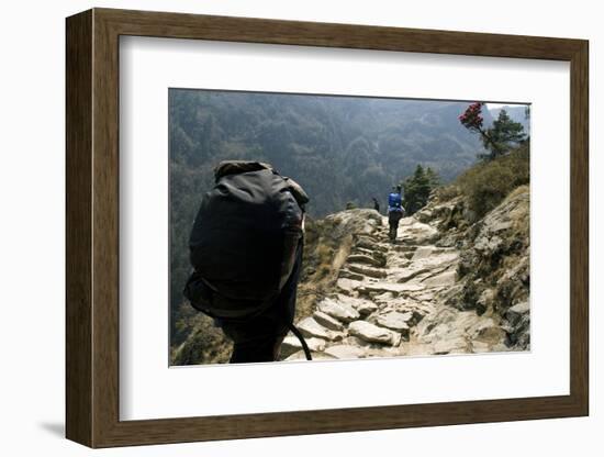 Trekkers on the Trail Towards Namche Bazaar, Khumbu, Nepal-David Noyes-Framed Photographic Print