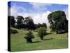 Trelissick Gardens, National Trust, Feock, Near Truro, Cornwall, England, United Kingdom-Richard Ashworth-Stretched Canvas