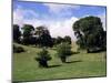 Trelissick Gardens, National Trust, Feock, Near Truro, Cornwall, England, United Kingdom-Richard Ashworth-Mounted Photographic Print