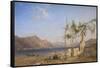 Trellis Vine on the Lake of Lugano-William Wilthieu Fenn-Framed Stretched Canvas