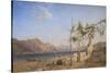 Trellis Vine on the Lake of Lugano-William Wilthieu Fenn-Stretched Canvas