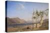 Trellis Vine on the Lake of Lugano-William Wilthieu Fenn-Stretched Canvas