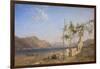 Trellis Vine on the Lake of Lugano-William Wilthieu Fenn-Framed Giclee Print