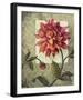 Trellised Dahlia-Lisa Audit-Framed Art Print