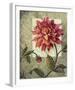 Trellised Dahlia-Lisa Audit-Framed Art Print