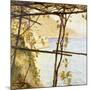 Trellised Vine-Henry Herbert La Thangue-Mounted Giclee Print