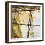 Trellised Vine-Henry Herbert La Thangue-Framed Giclee Print