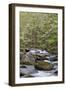 Tremont Area, Great Smoky Mountains National Park, Tennessee-Richard and Susan Day-Framed Photographic Print