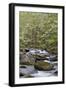 Tremont Area, Great Smoky Mountains National Park, Tennessee-Richard and Susan Day-Framed Photographic Print