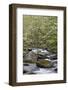 Tremont Area, Great Smoky Mountains National Park, Tennessee-Richard and Susan Day-Framed Photographic Print